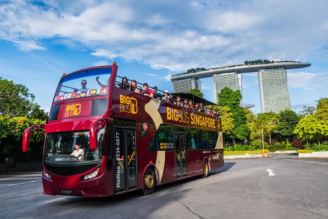 Big Bus Singapore Hop-On Hop-Off Tour - Who will get the most from this tour?