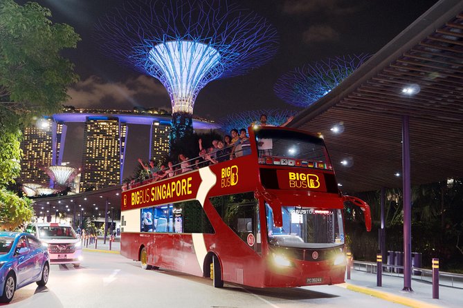 Big Bus Singapore Night Tour with Gardens by the Bay Light Show - Marina Barrage: a 20-minute skyline pause