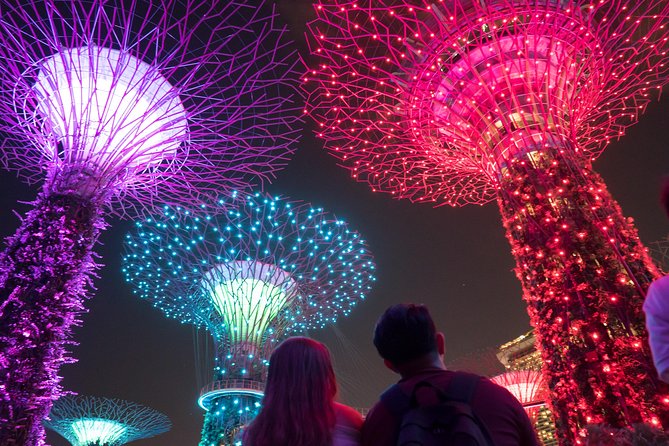 Big Bus Singapore Night Tour with Gardens by the Bay Light Show - Who will enjoy this experience most?