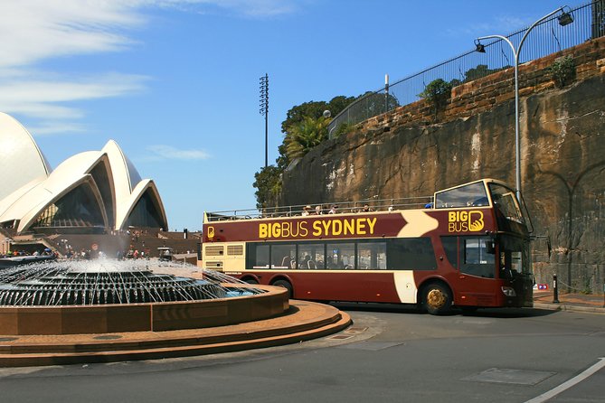 Big Bus Sydney and Bondi Hop-on Hop-off Tour - Who Gets the Most Value