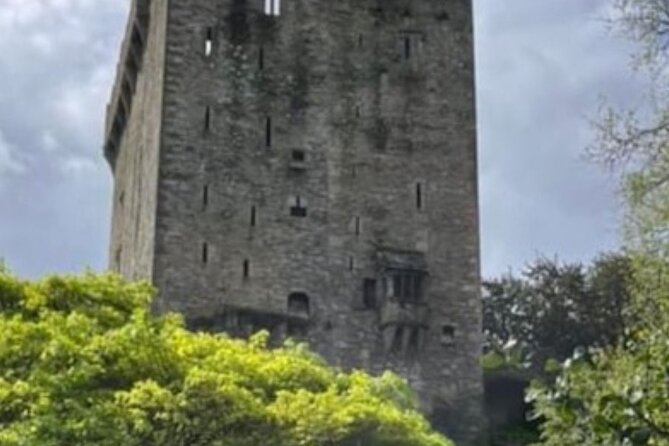 Blarney Castle and Cork City 2025 award winning minibus tour - The English Market and Cork’s food culture
