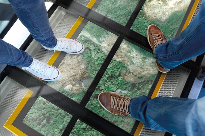 Blue Mountains Hop On Hop Off Tour - Why this bus works better than a rushed day tour