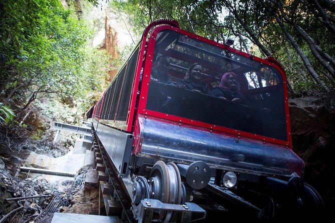 Blue Mountains Hop On Hop Off Tour - Should you book the Blue Mountains Explorer Bus?