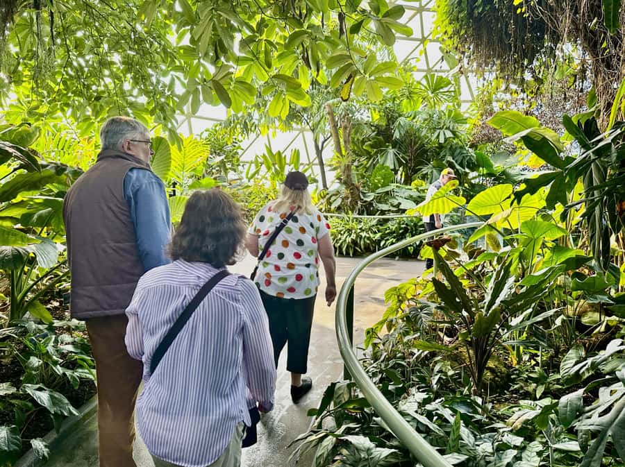 Brisbane Bus Tour: City highlights | Small group | Snack - Why this four-hour route works for a first look at Brisbane
