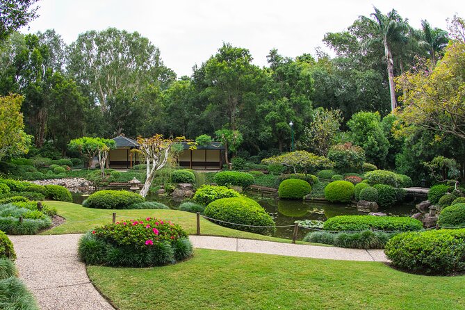Brisbane Bus Tour: Max 10 people | Half Day | Morning tea inc. - The Main Event at Mount Coot-tha Summit