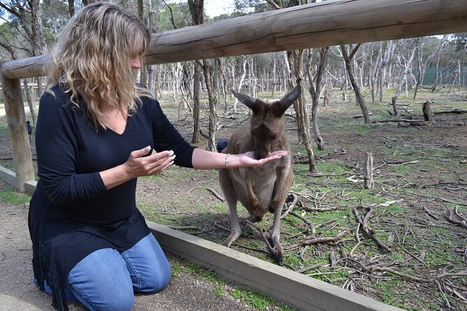 Brisbane Bus Tour: Max 10 people | Half Day | Morning tea inc. - What the Guide Adds