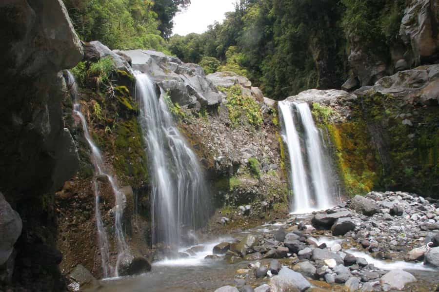 Brisbane: Hop on Hop off Bus to Tamborine Mountain - The Red Line for wineries and breweries