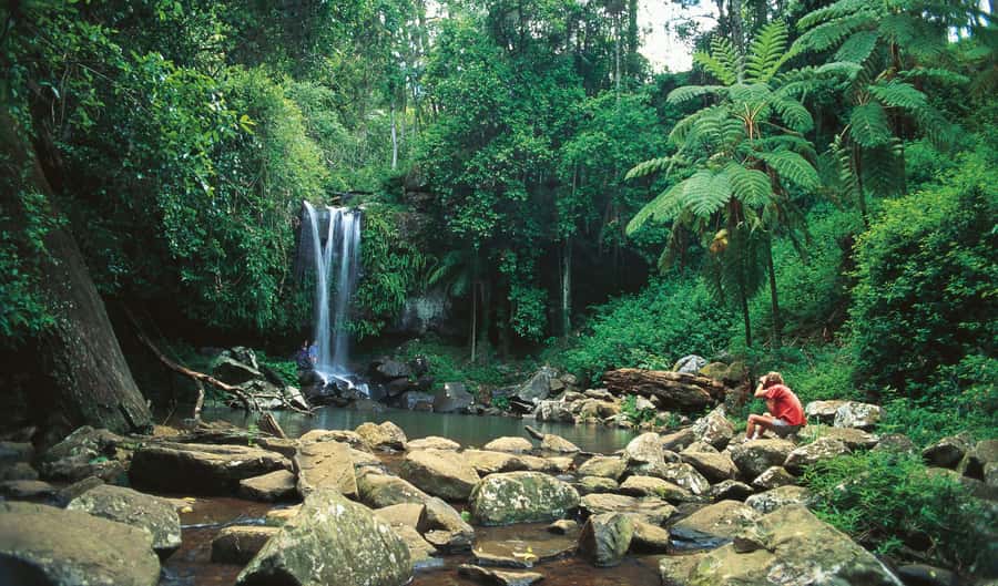 Brisbane: Hop on Hop off Bus to Tamborine Mountain - The Brisbane pickup and mountain transfer