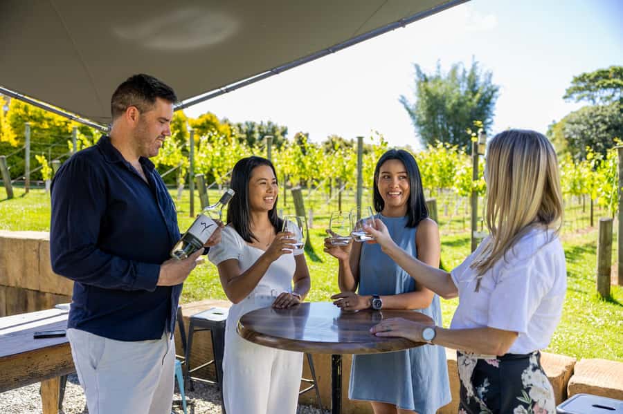 Brisbane: Wine Tasting - Hop on Hop off Tour to Mt Tamborine - What the $116 price really includes