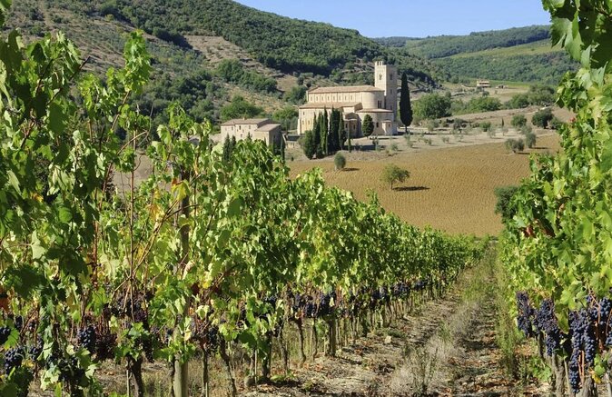 Brunello Vineyards Bus Tour - Key points at a glance