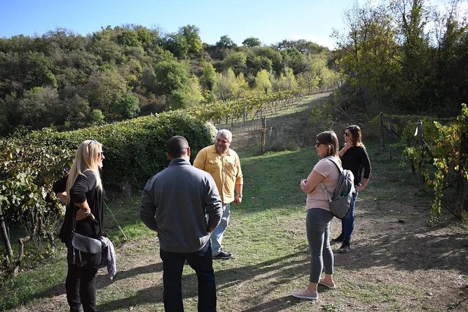 Brunello Vineyards Bus Tour - Second cellar: a different setting and a fresh comparison