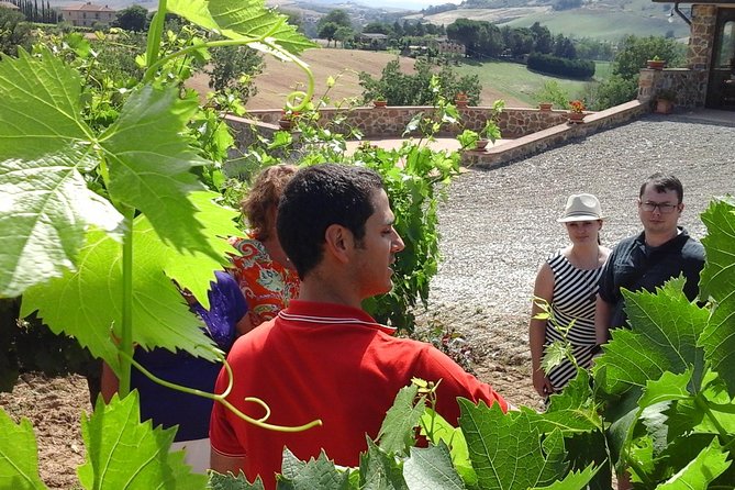 Brunello Vineyards Bus Tour - Who will enjoy this experience most?