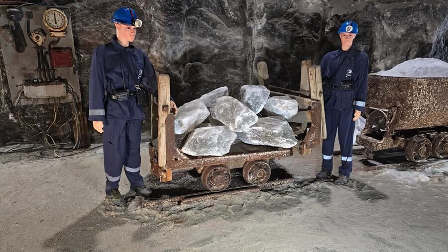 Bucharest Bus Tour: Salt mine & Dracula Tomb Half Day Trip - Is $25 a good value?