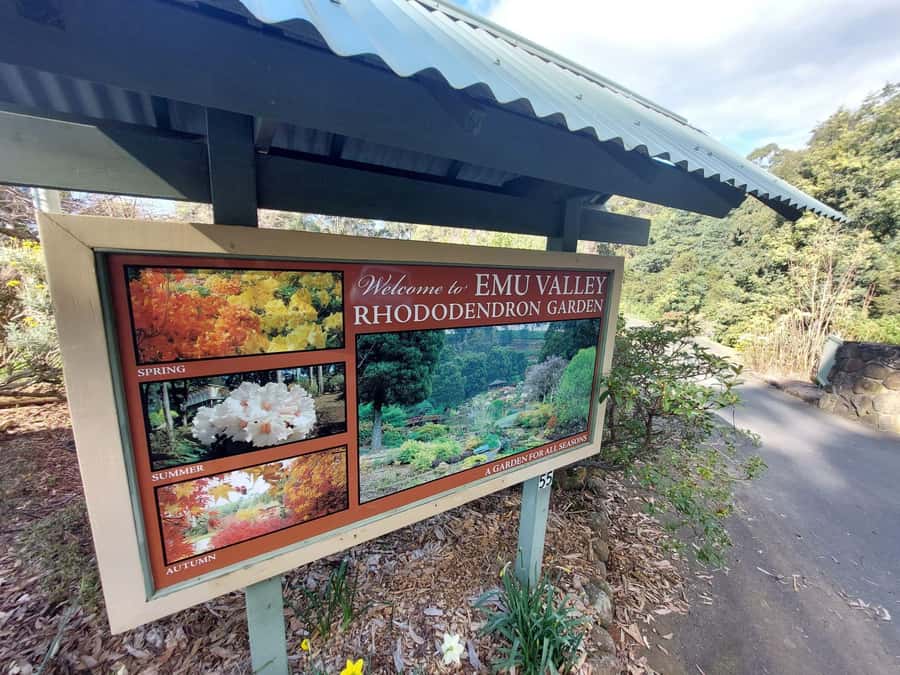Burnie Attractions Bus - Upper Burnie Lookout and the Bass Strait view