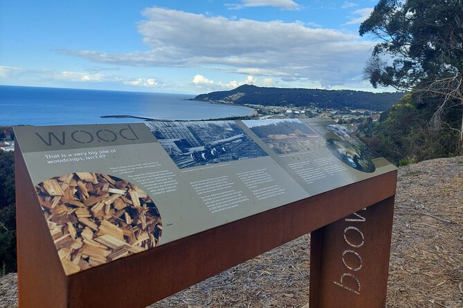 Burnie Attractions Bus: Burnie Shore Excursion - Why this Burnie shore excursion works
