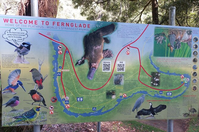 Burnie Attractions Bus: Burnie Shore Excursion - Penguin village and the route variation