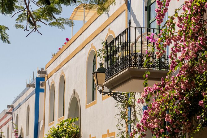 Bus to the local market of Puerto de Mogan - Four hours to set your own pace