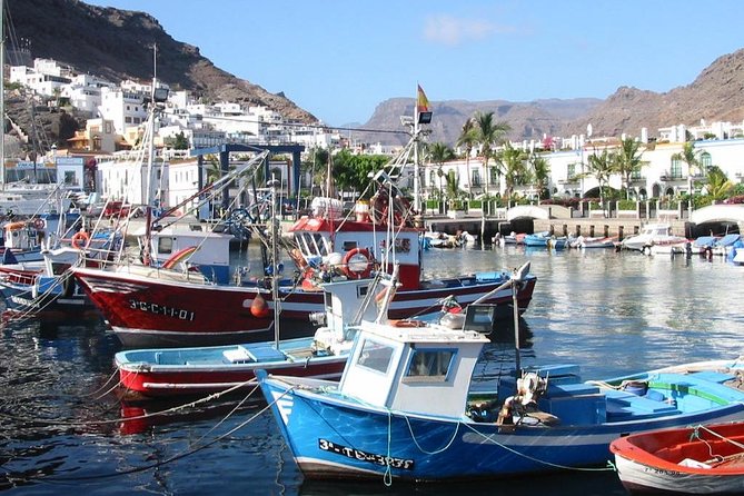 Bus to the local market of Puerto de Mogan - Is $27.71 good value?