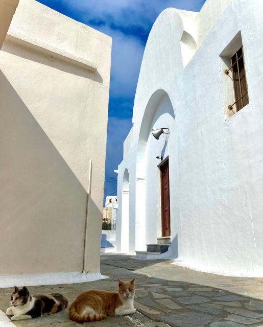 Bus Tour Around the island of Naxos - Key points to know before booking