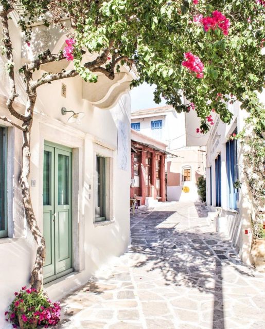 Bus Tour Around the island of Naxos - Demeter’s Temple and the first look at ancient Naxos