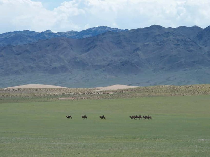 Bus tour to visit Gobi 4 day - Day four: the long return to Ulaanbaatar
