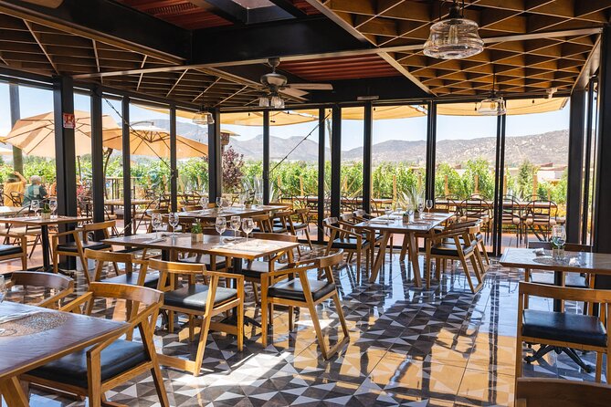 Bus Wine Tour by Ansell Tours - What the private format really gives you