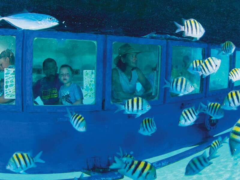 Cancún: Hop-on Hop-off Bus Tour with Submarine Trip - Starting at ADO Cancun Downtown
