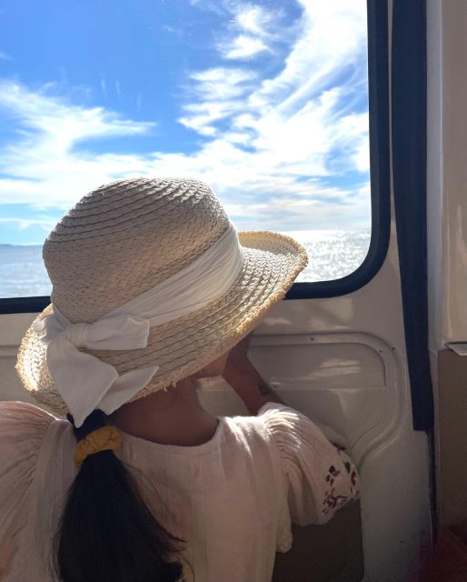 Cannes 2 Hours : Privat City Tour in a French Vintage Bus - The Croisette, Palm Beach, and Port Canto
