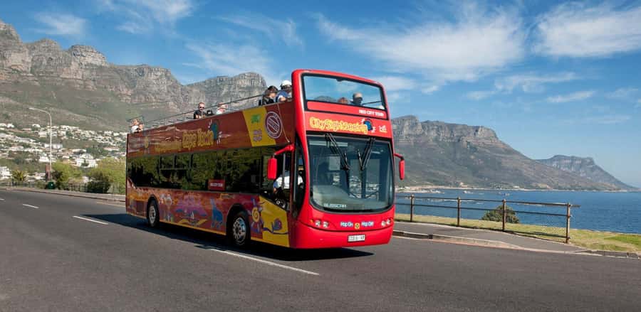 Cape Town: Hop-On Hop-Off Bus Tour with Optional Cruise - A Practical Plan for Your First Two Days