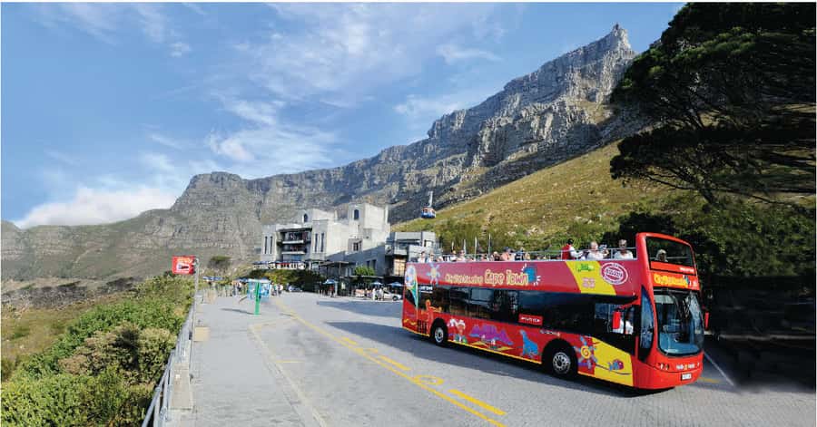 Cape Town: Hop-On Hop-Off Bus Tour with Optional Cruise - Red Route: Your First Look at the City