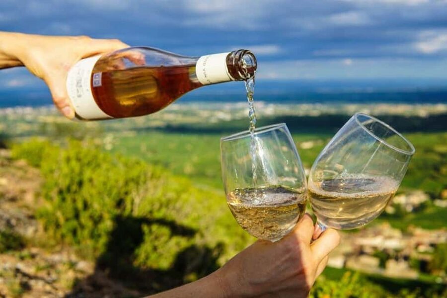 Cape Town: Hop On, Hop Off: Franschhoek Wine Tram Tour! - Value at $115 per person