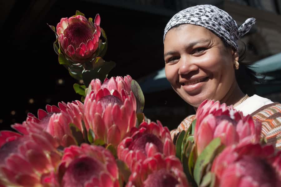Cape Town: Introductory City Tour by Foot and Minibus - Key points at a glance