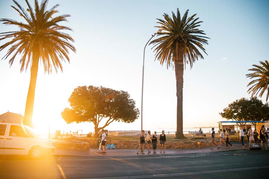Cape Town: Introductory City Tour by Foot and Minibus - Why this four-hour tour works as a Cape Town introduction