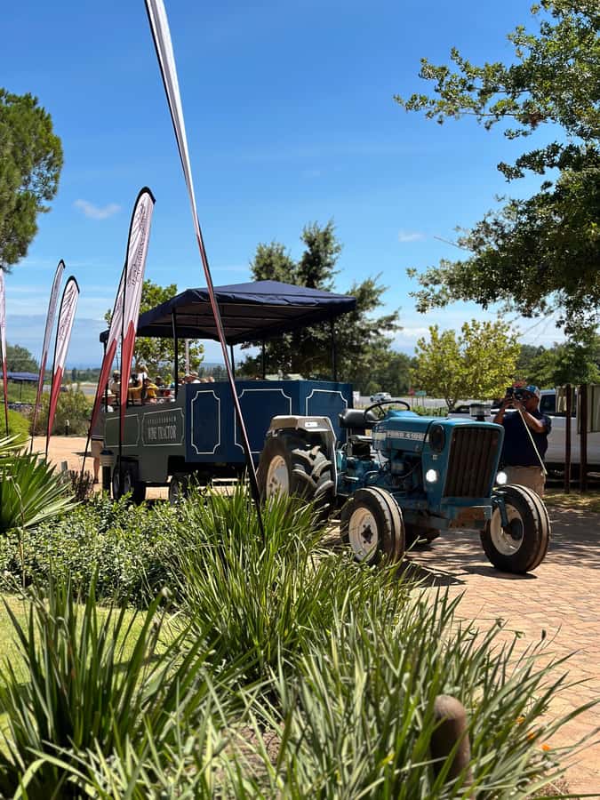 Cape Town: Stellenbosch Hop-On Hop-Off Tractor Transfer - What a 65-minute stop feels like