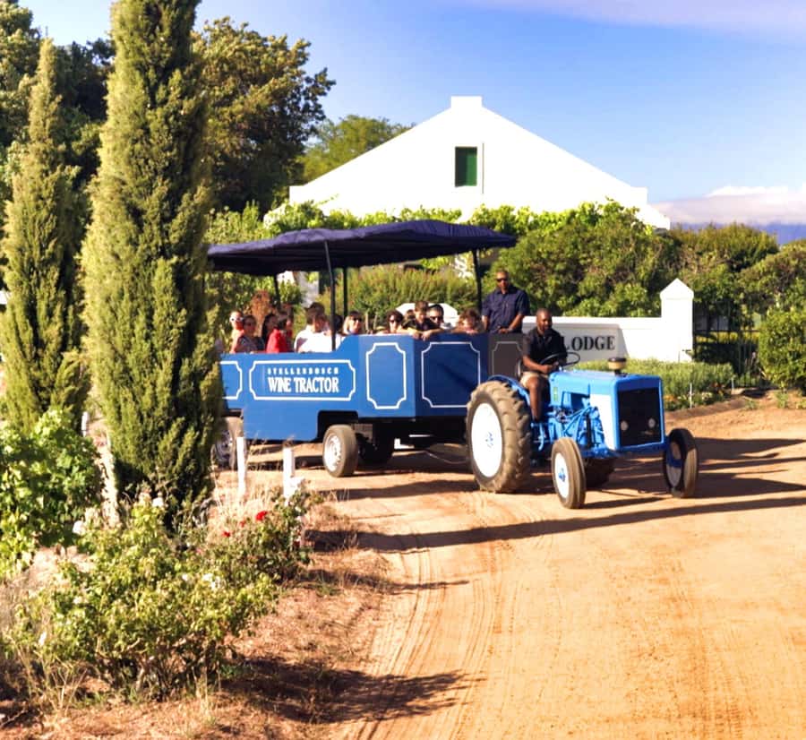Cape Town: Stellenbosch Hop-On Hop-Off Tractor Transfer - Starting at Eikendal on the R44