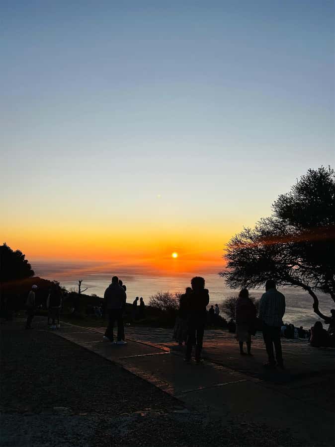 Cape Town: Sunset Bus Tour with Picnic on Signal Hill - Practical tips for a better Signal Hill picnic