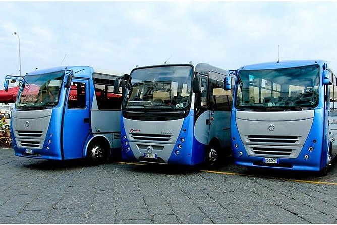 CAPRI - DIY Day Trip Package - BoatTour, BlueGrotto,Bus&Lunch - Ride the Monte Solaro chairlift from Piazza della Pace