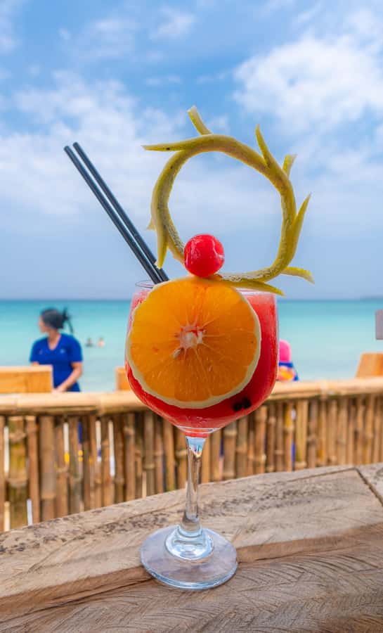 Cartagena: Day Trip Aviary and enjoy Playa Blanca by bus - Two very different Barú stops in one day