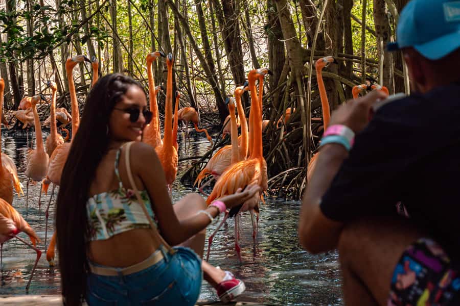 Cartagena: Day Trip Aviary and enjoy Playa Blanca by bus - Entering Colombia’s National Aviary