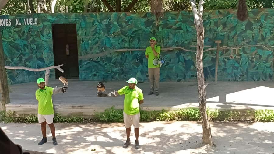 Cartagena: Daytour Aviary and Playa blanca, Barú by bus! - The noon transfer from the aviary to Playa Blanca
