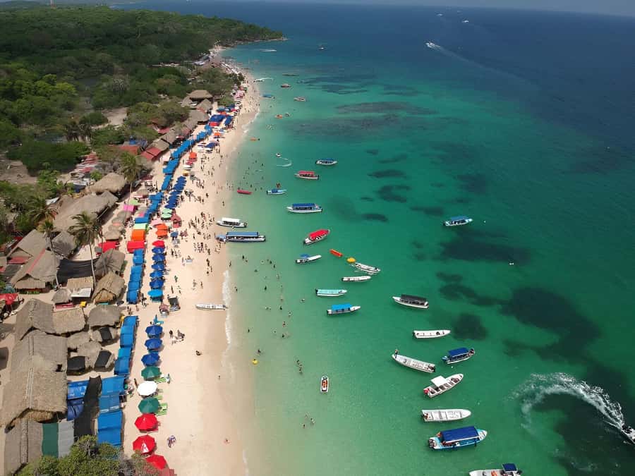 Cartagena: Daytour Aviary and Playa blanca, Barú by bus! - Two and a half hours at the National Aviary