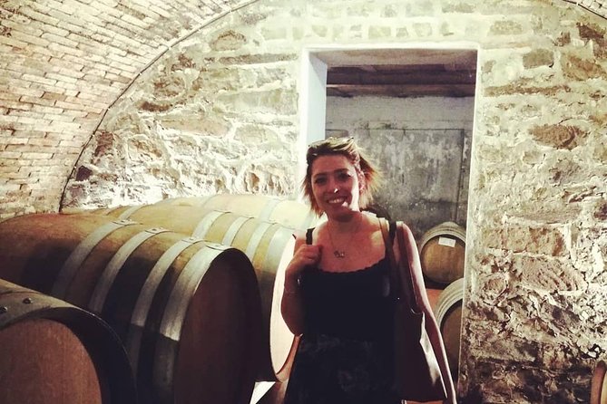 Chianti Wine Tour with Tuscan Lunch Open Top Van - Tuscan lunch at Fattoria di Luiano