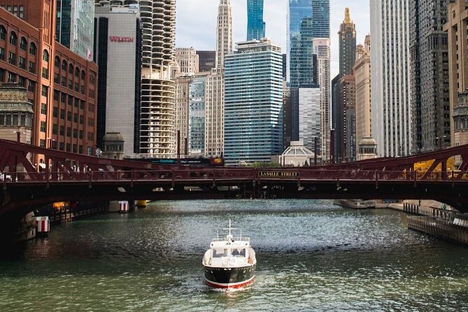 Chicago Luxury Minibus City Tour and Architecture River Cruise - Cloud Gate and Millennium Park