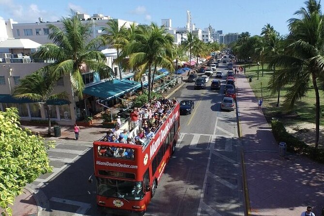 City Half Day Tour of Miami by Bus with Sightseeing Cruise - One ticket, a lot of Miami