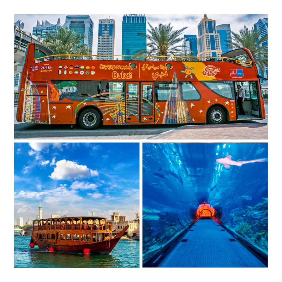 City Sightseeing Dubai Hop-On Hop-Off Bus Tour & Dhow Cruise - Starting at Dubai Mall and choosing your route