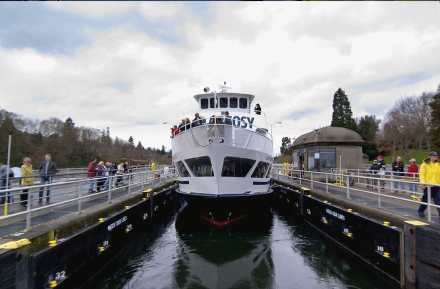 City Sightseeing Seattle: HOHO Bus Tour + Locks Cruise - How to use the 24-hour and 48-hour tickets