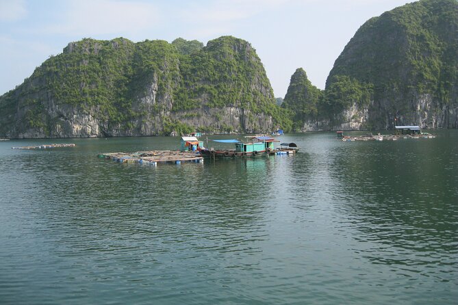 Combo: Bus Ha Noi to Cat Ba + 1 Day Boat Trip, La Ha Bay, Ha Long Bay - Your first evening on Cat Ba