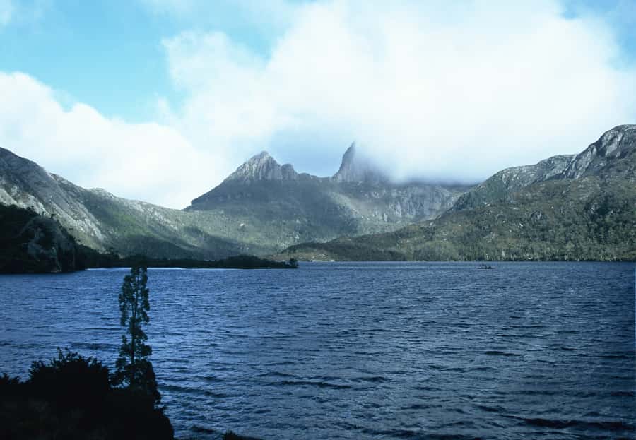 Cradle Mountain National Park by Coach from Launceston - Sheffield murals and the Cethana Dam crossing