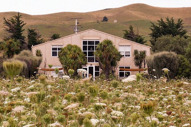 CRUISE SHIP DAY LYTTELTON Hop On Hop Off Wine Tours to Waipara - Waipara wineries worth building around