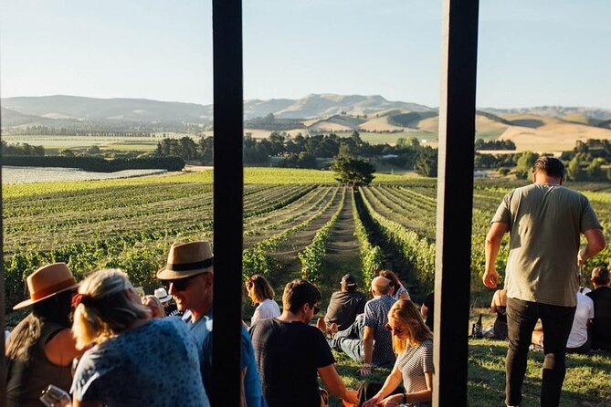 CRUISE SHIP DAY LYTTELTON Hop On Hop Off Wine Tours to Waipara - Lunch with the wine at Waipara Springs and Greystone